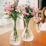 vaso-de-cristal-ambiente-1