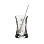 104.056.205-caipirinha-abacaxi
